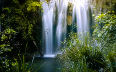Influencia de la Calidad Ambiental en el Agua de Manantial