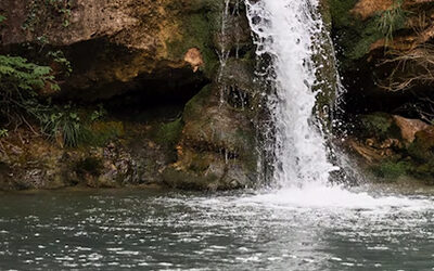 Por qué Elegir Agua de Manantial Protegido Ayuda al Medio Ambiente