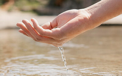 Innovaciones en el Consumo de Agua: Presente y Futuro